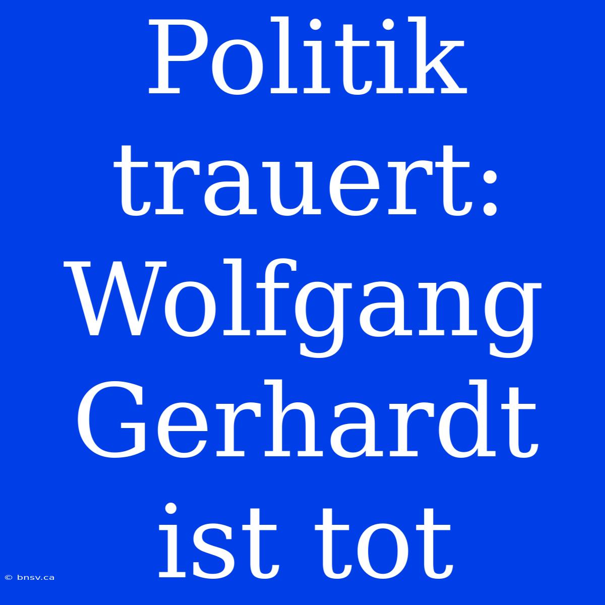 Politik Trauert: Wolfgang Gerhardt Ist Tot