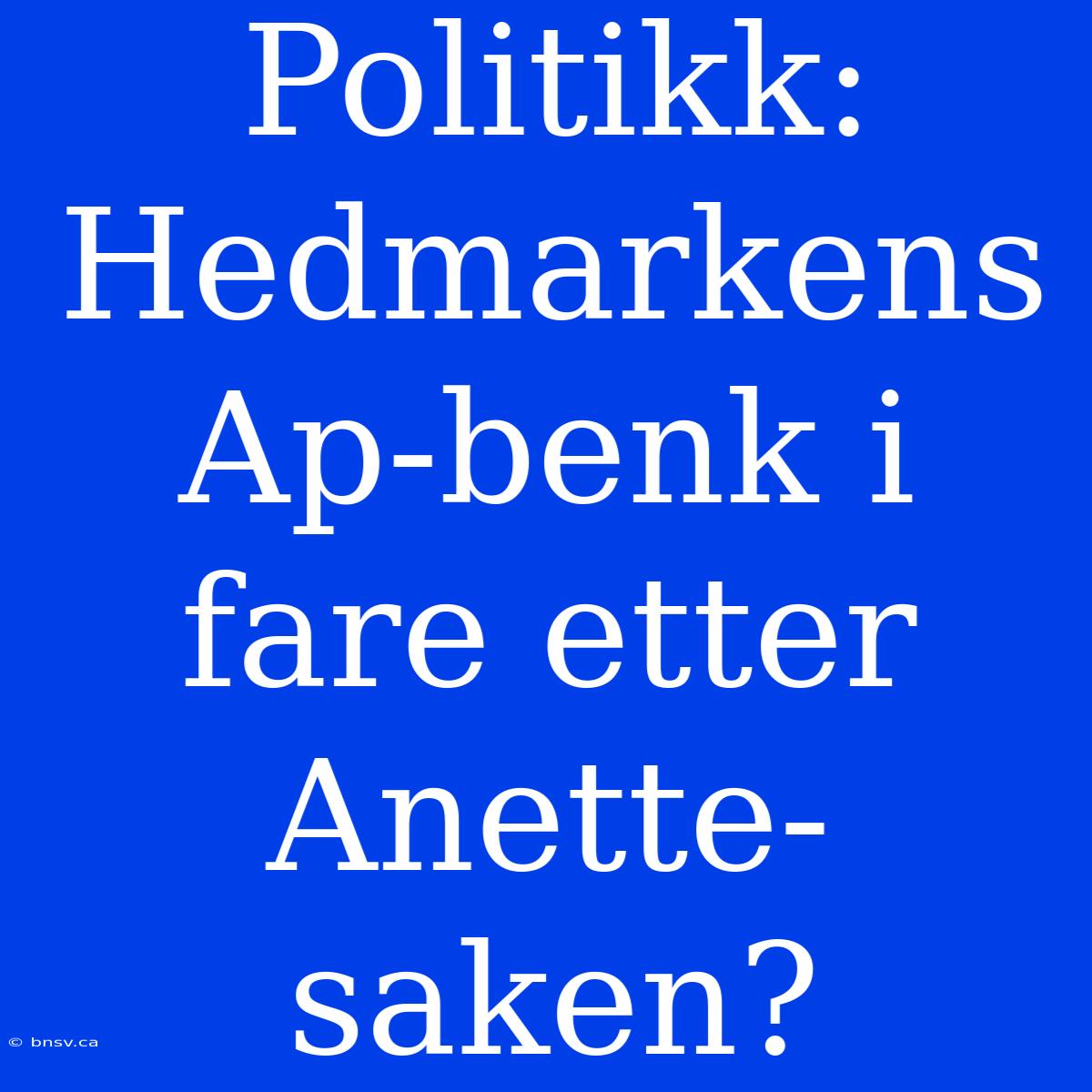 Politikk: Hedmarkens Ap-benk I Fare Etter Anette-saken?