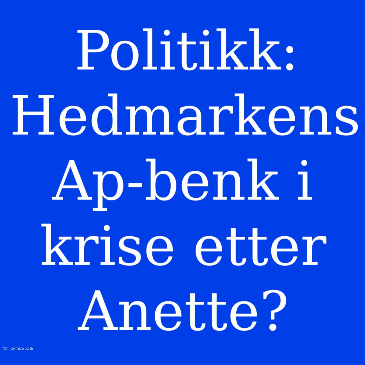 Politikk: Hedmarkens Ap-benk I Krise Etter Anette?