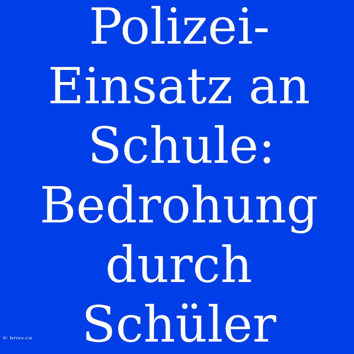 Polizei-Einsatz An Schule: Bedrohung Durch Schüler