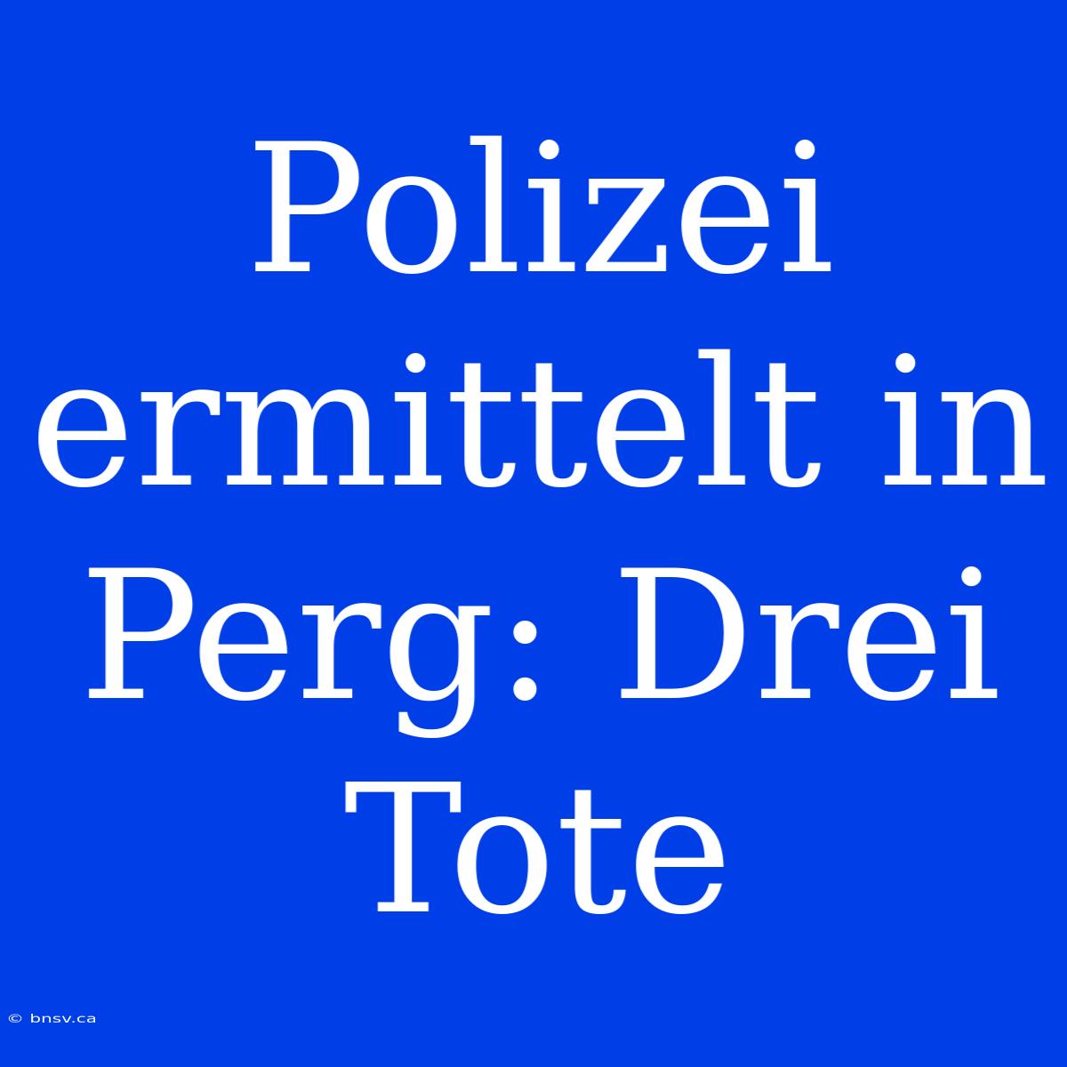 Polizei Ermittelt In Perg: Drei Tote