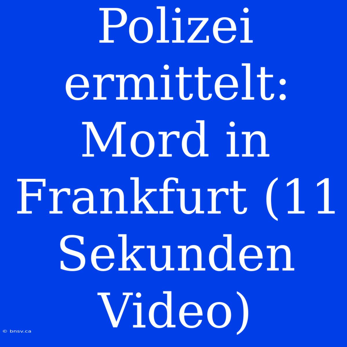 Polizei Ermittelt: Mord In Frankfurt (11 Sekunden Video)