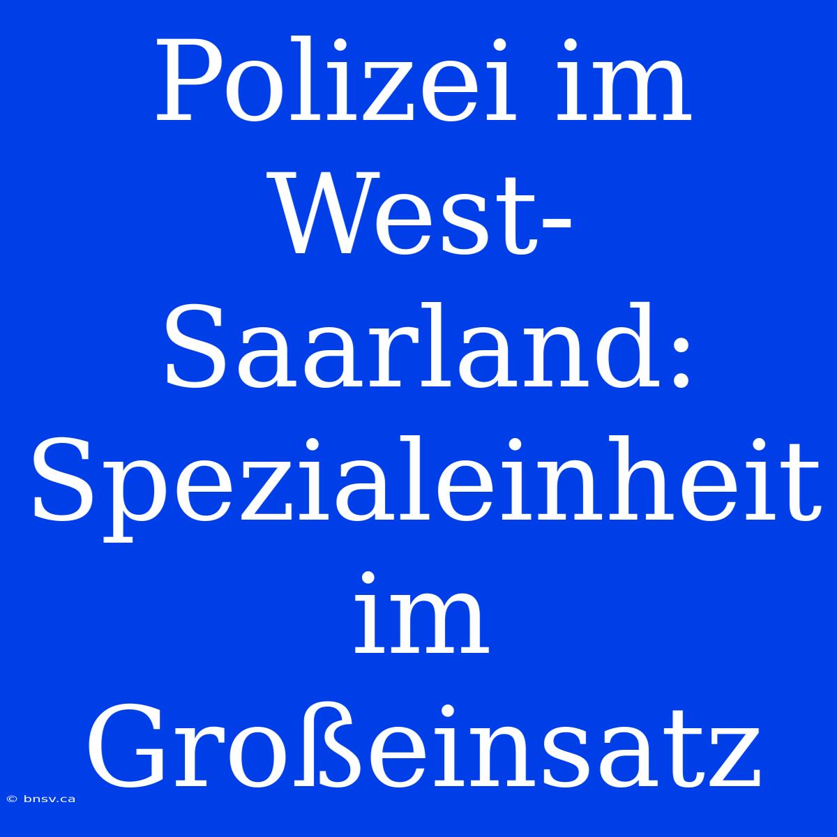 Polizei Im West-Saarland: Spezialeinheit Im Großeinsatz