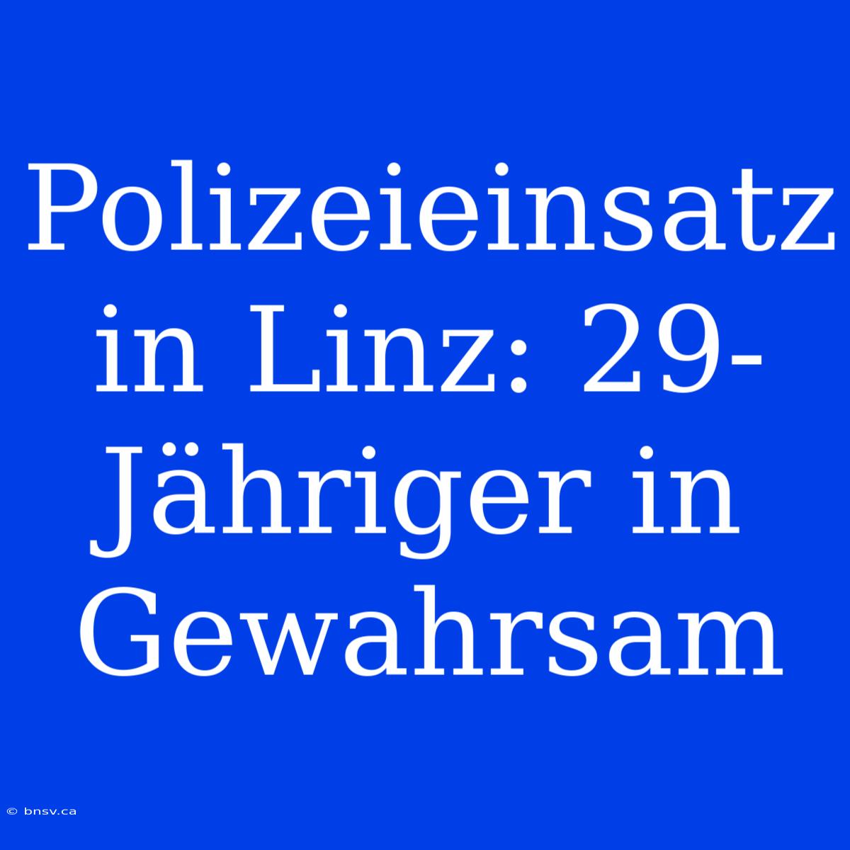 Polizeieinsatz In Linz: 29-Jähriger In Gewahrsam