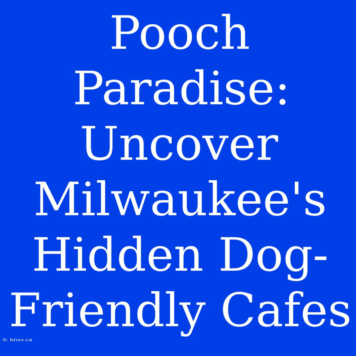 Pooch Paradise: Uncover Milwaukee's Hidden Dog-Friendly Cafes