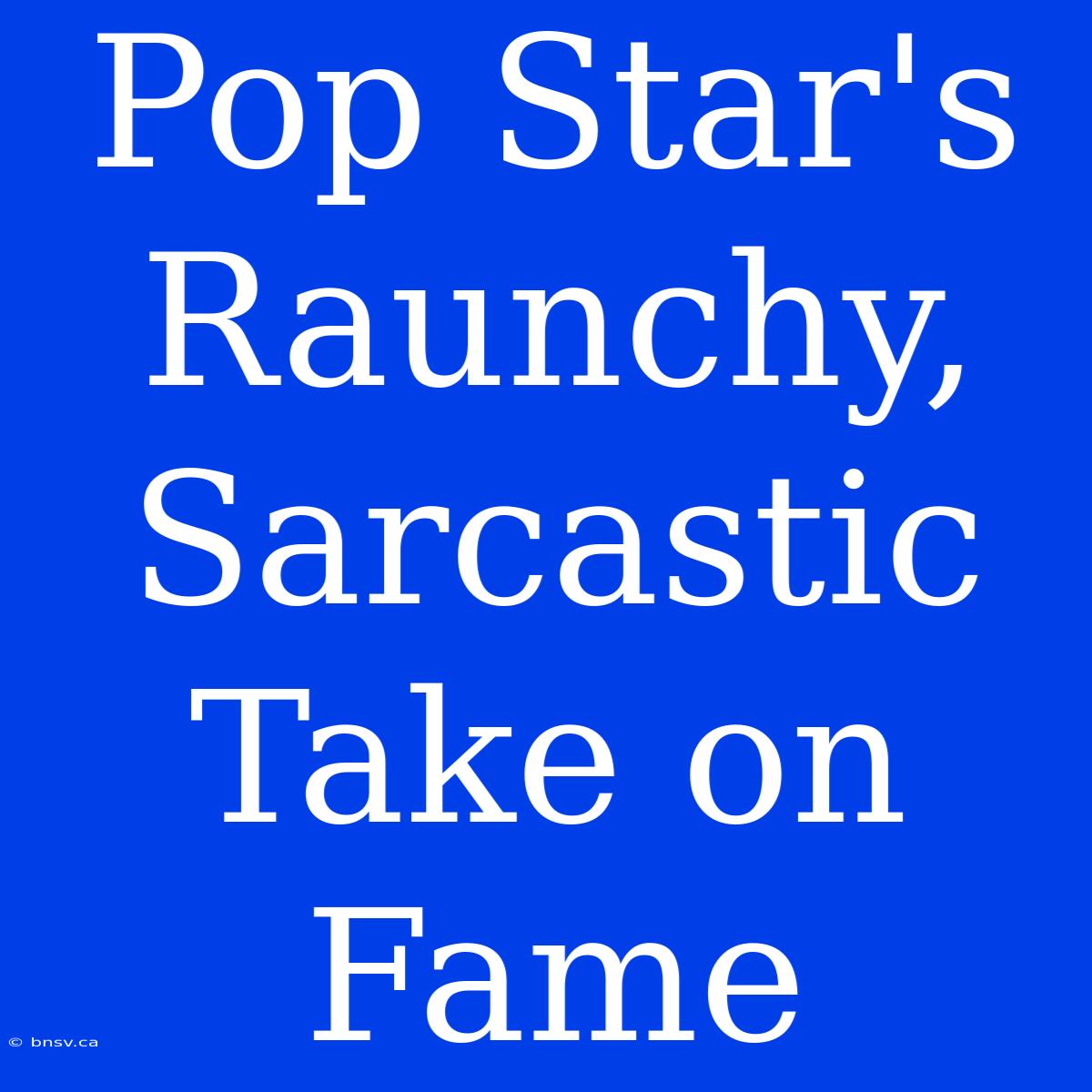 Pop Star's Raunchy, Sarcastic Take On Fame