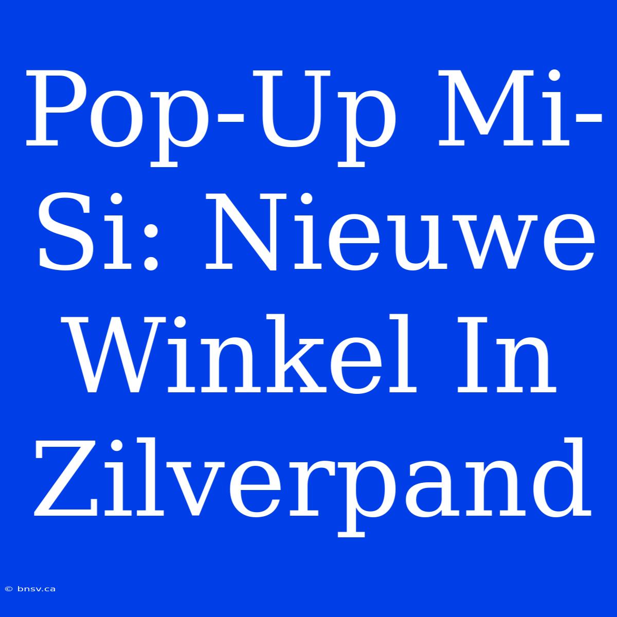 Pop-Up Mi-Si: Nieuwe Winkel In Zilverpand