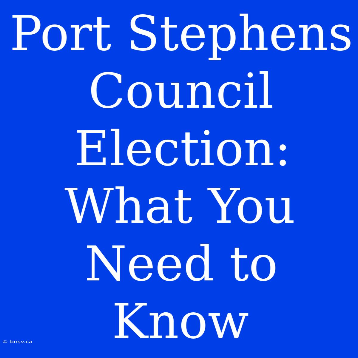 Port Stephens Council Election: What You Need To Know