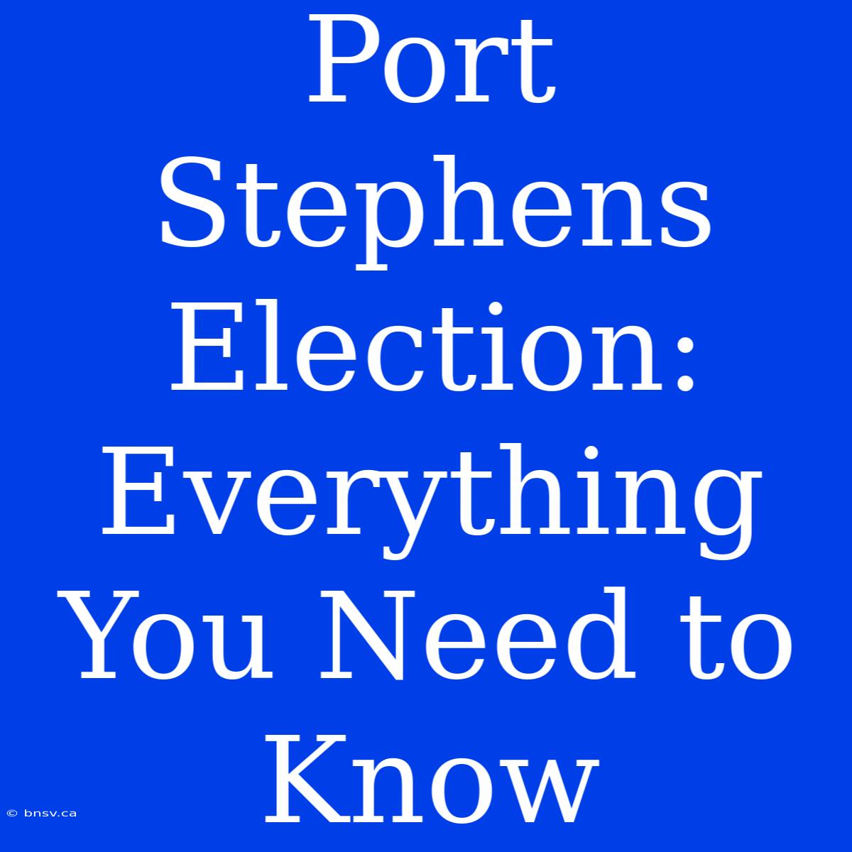 Port Stephens Election: Everything You Need To Know