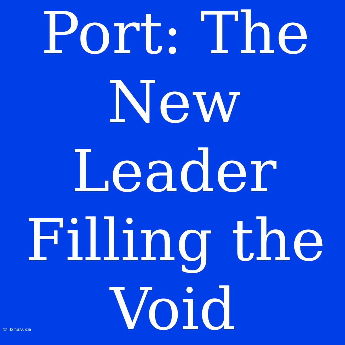 Port: The New Leader Filling The Void