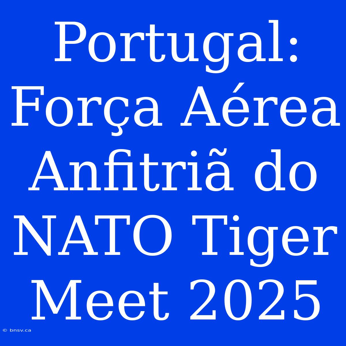 Portugal: Força Aérea Anfitriã Do NATO Tiger Meet 2025