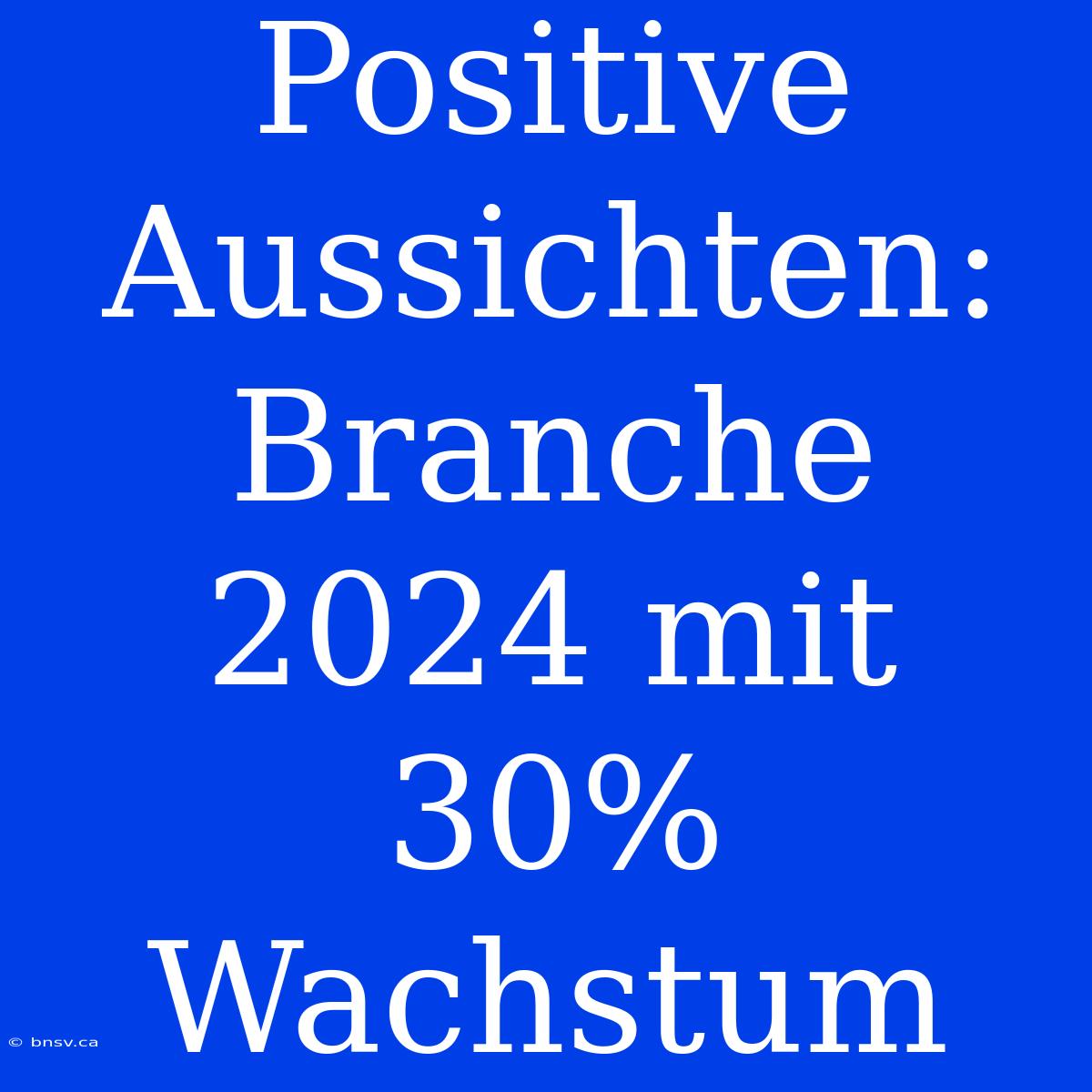 Positive Aussichten: Branche 2024 Mit 30% Wachstum