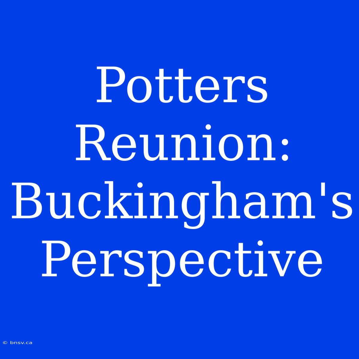 Potters Reunion: Buckingham's Perspective