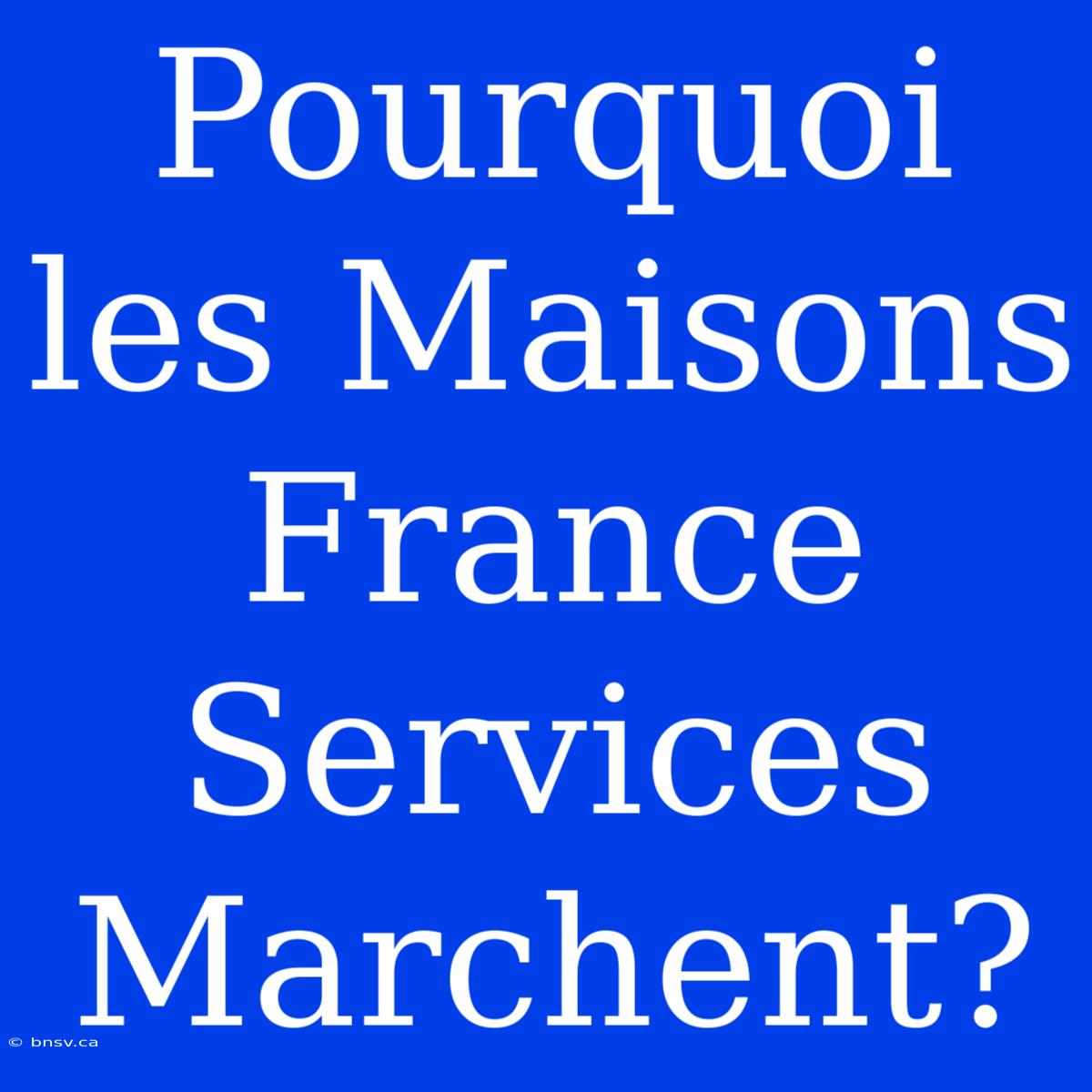 Pourquoi Les Maisons France Services Marchent?