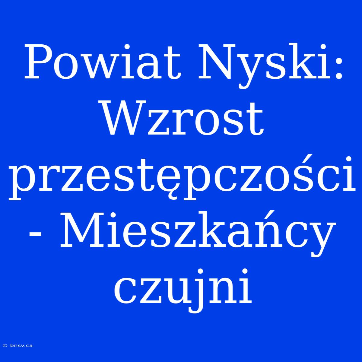 Powiat Nyski: Wzrost Przestępczości - Mieszkańcy Czujni