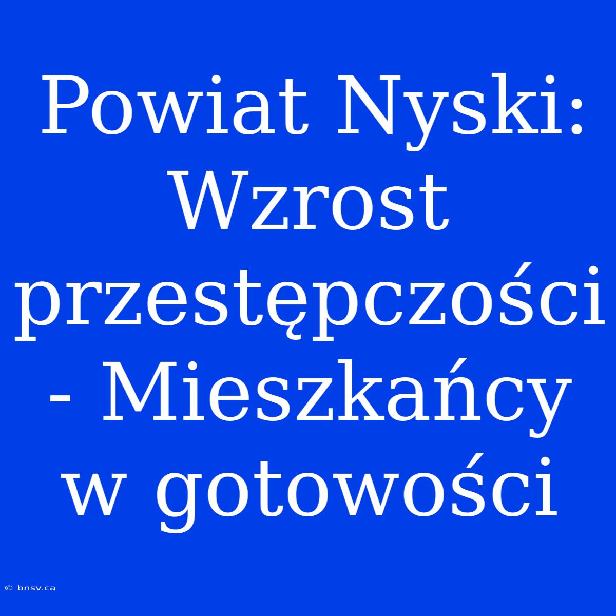 Powiat Nyski:  Wzrost Przestępczości - Mieszkańcy W Gotowości