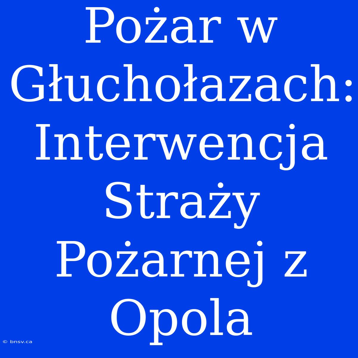 Pożar W Głuchołazach: Interwencja Straży Pożarnej Z Opola