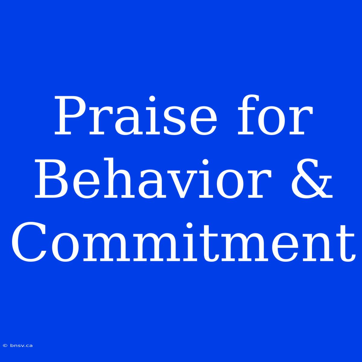 Praise For Behavior & Commitment