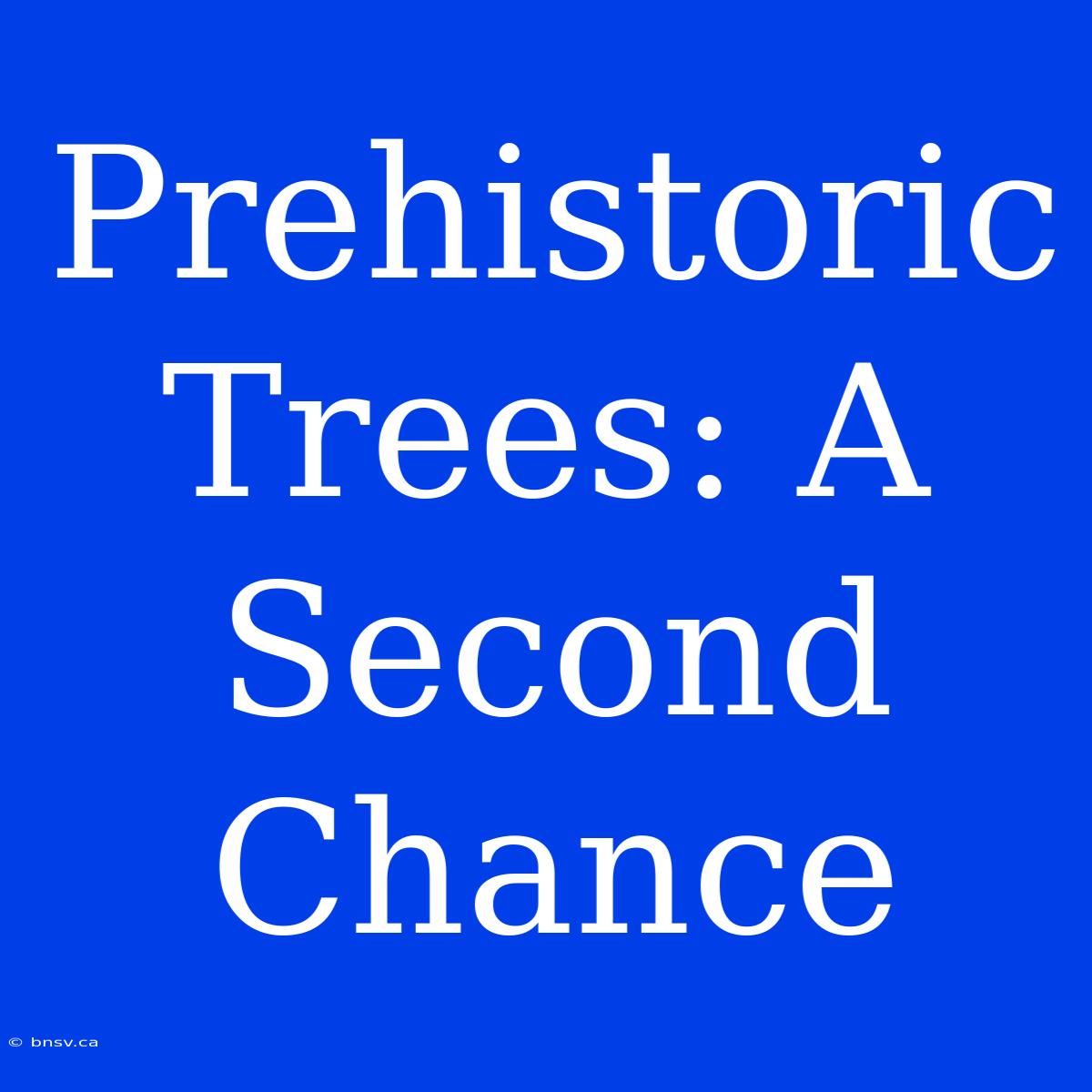 Prehistoric Trees: A Second Chance