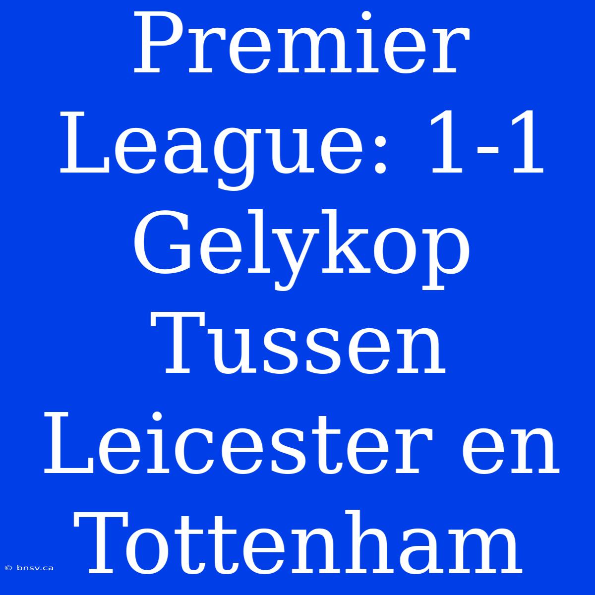 Premier League: 1-1 Gelykop Tussen Leicester En Tottenham