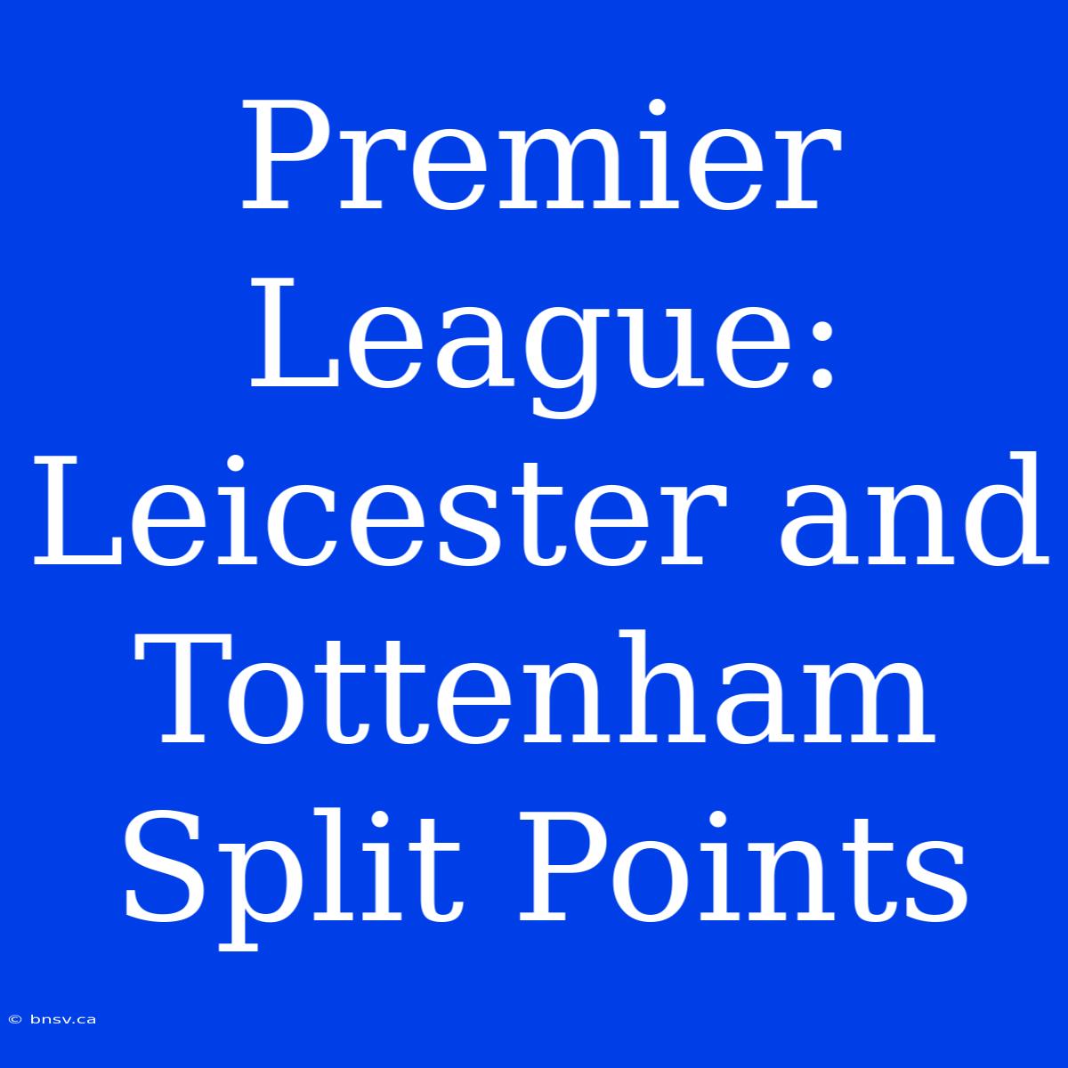 Premier League: Leicester And Tottenham Split Points