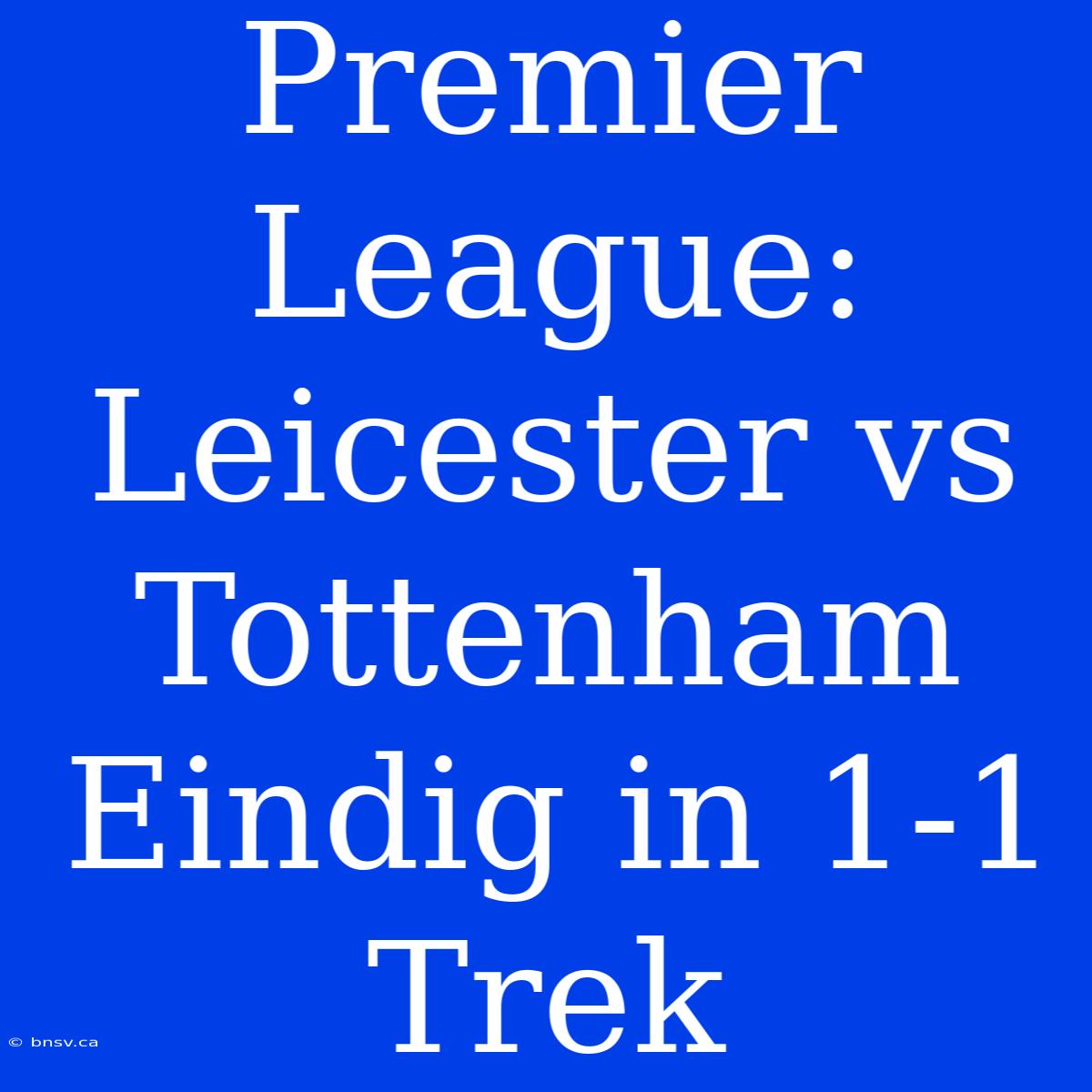 Premier League: Leicester Vs Tottenham Eindig In 1-1 Trek