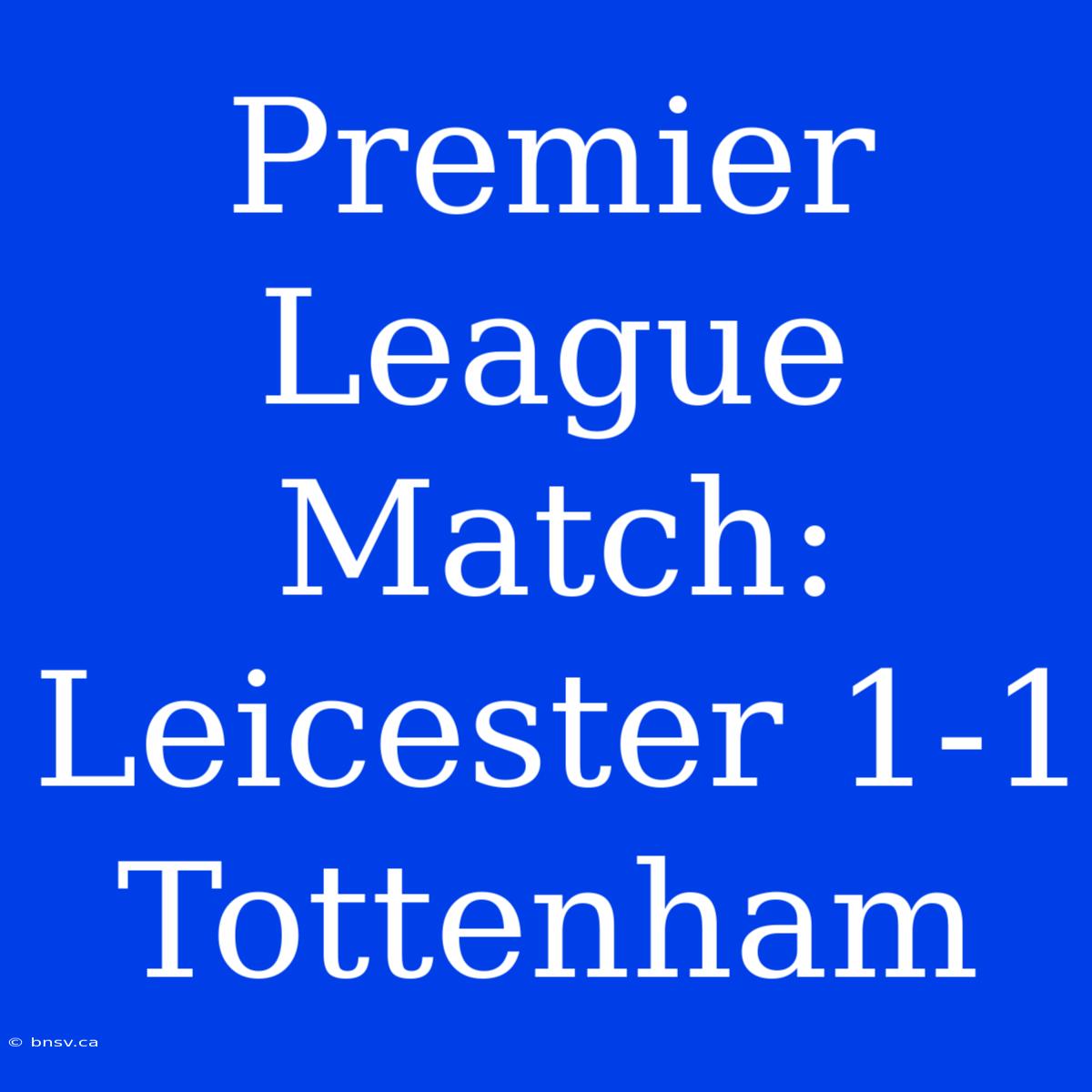 Premier League Match: Leicester 1-1 Tottenham