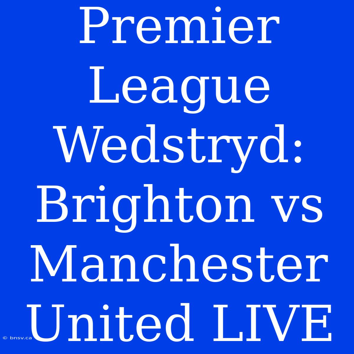 Premier League Wedstryd: Brighton Vs Manchester United LIVE