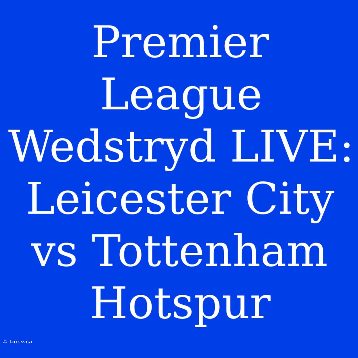 Premier League Wedstryd LIVE: Leicester City Vs Tottenham Hotspur