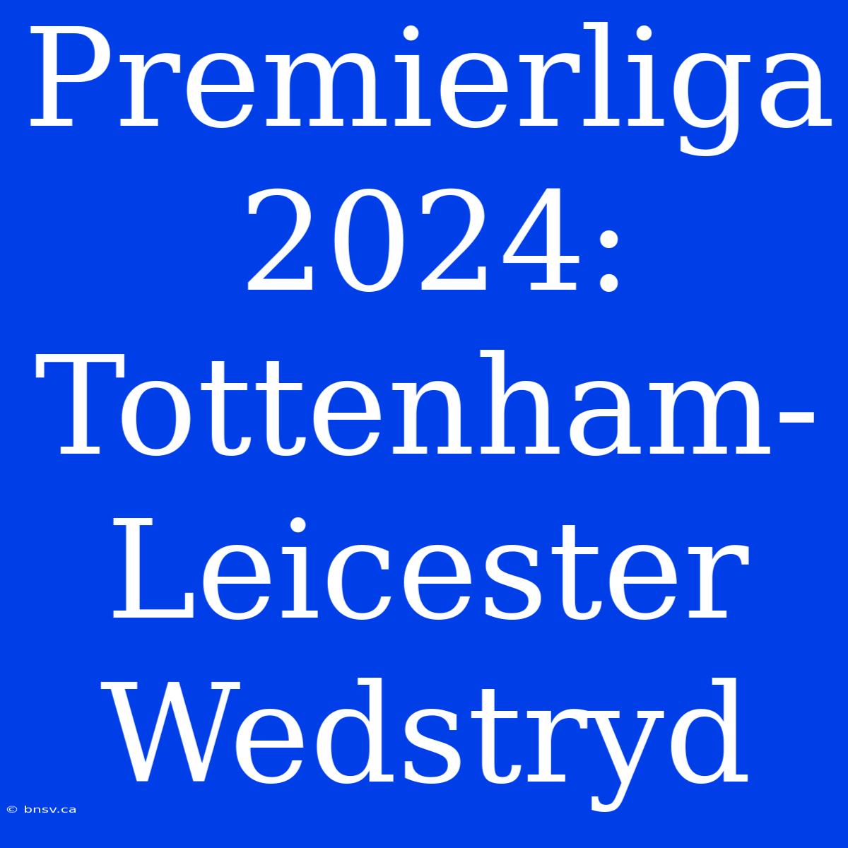 Premierliga 2024: Tottenham-Leicester Wedstryd