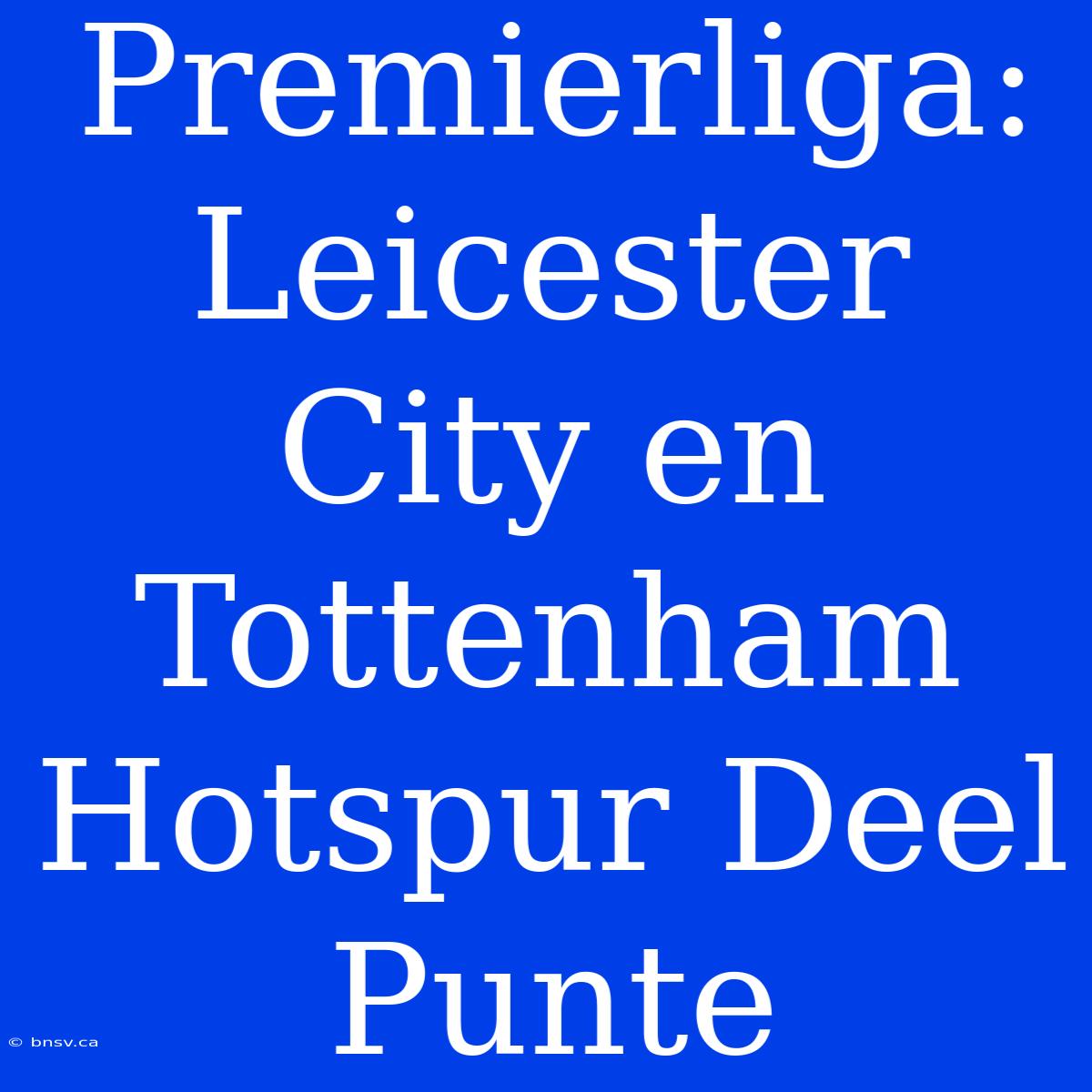 Premierliga: Leicester City En Tottenham Hotspur Deel Punte