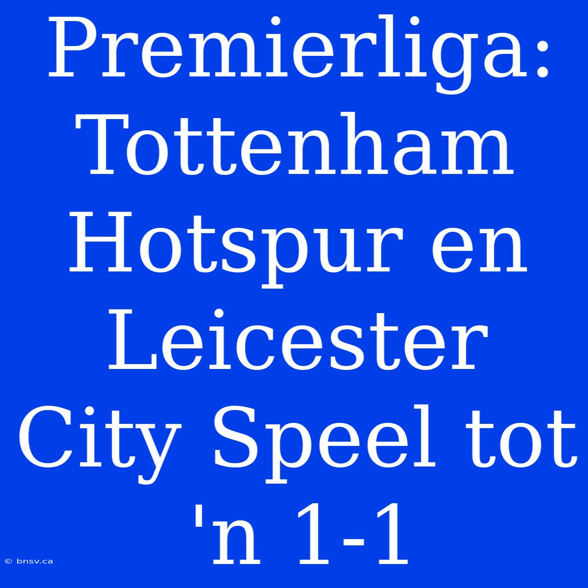 Premierliga: Tottenham Hotspur En Leicester City Speel Tot 'n 1-1