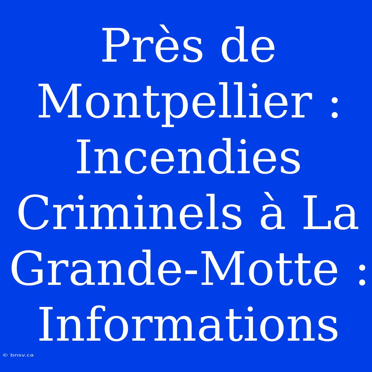 Près De Montpellier : Incendies Criminels À La Grande-Motte : Informations