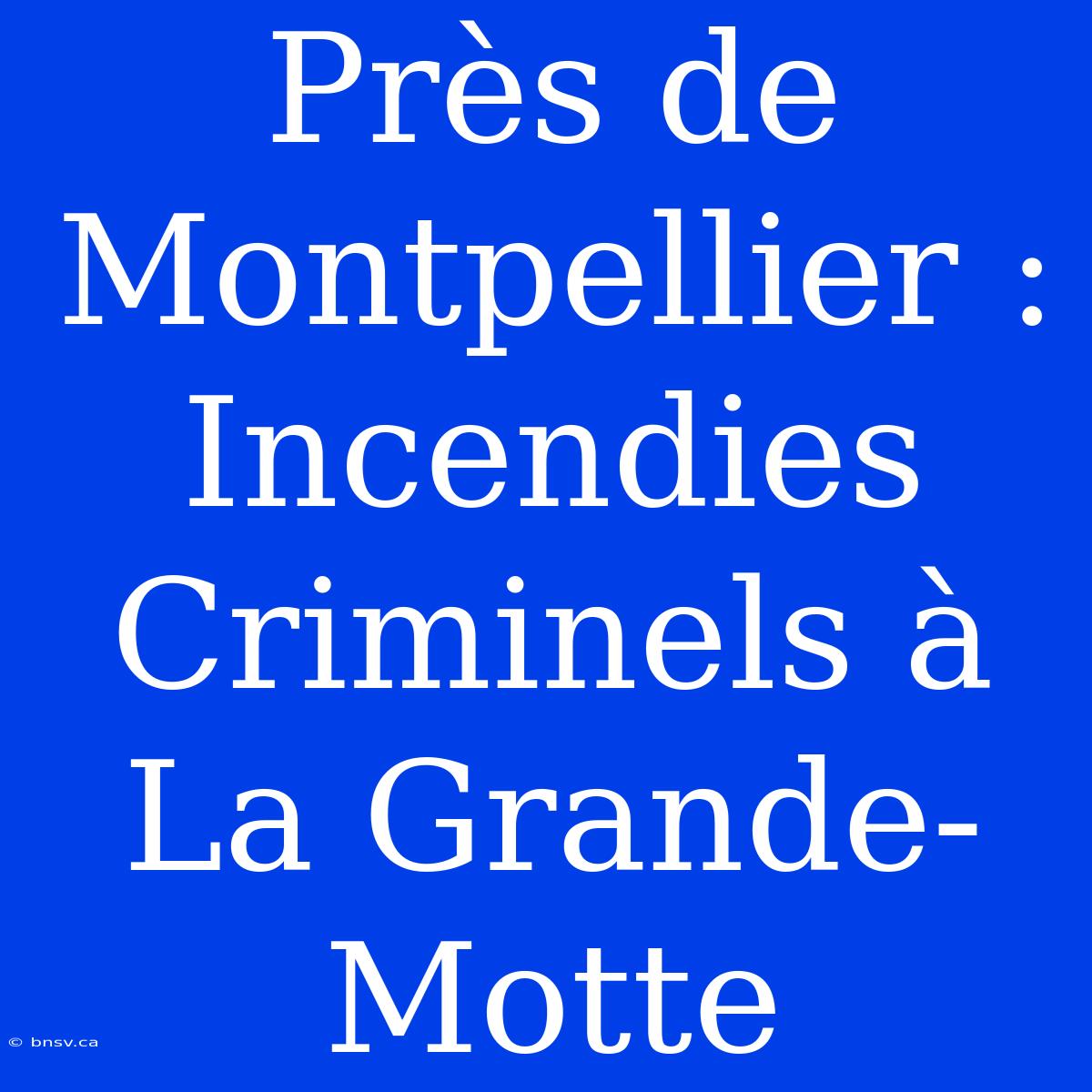 Près De Montpellier : Incendies Criminels À La Grande-Motte