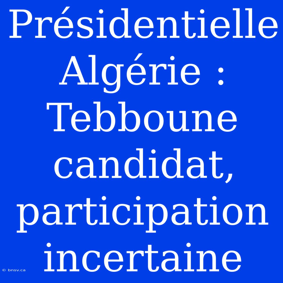 Présidentielle Algérie : Tebboune Candidat, Participation Incertaine