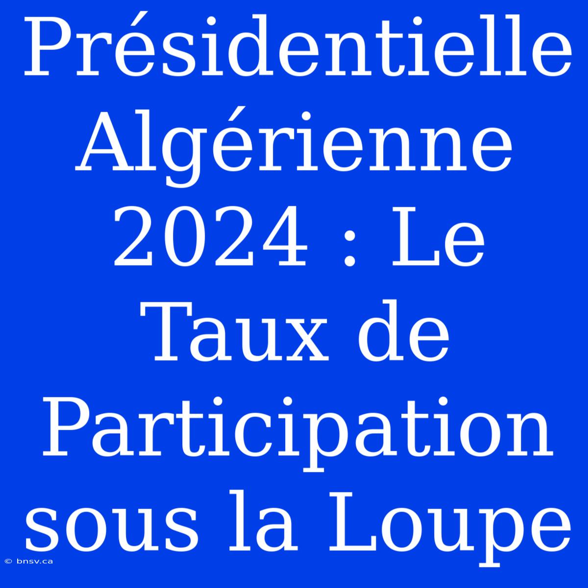 Présidentielle Algérienne 2024 : Le Taux De Participation Sous La Loupe