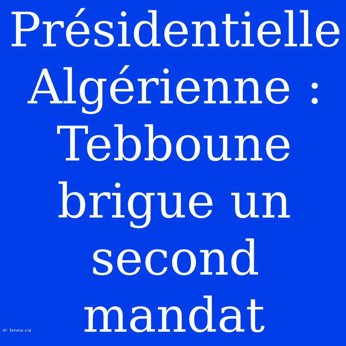 Présidentielle Algérienne : Tebboune Brigue Un Second Mandat