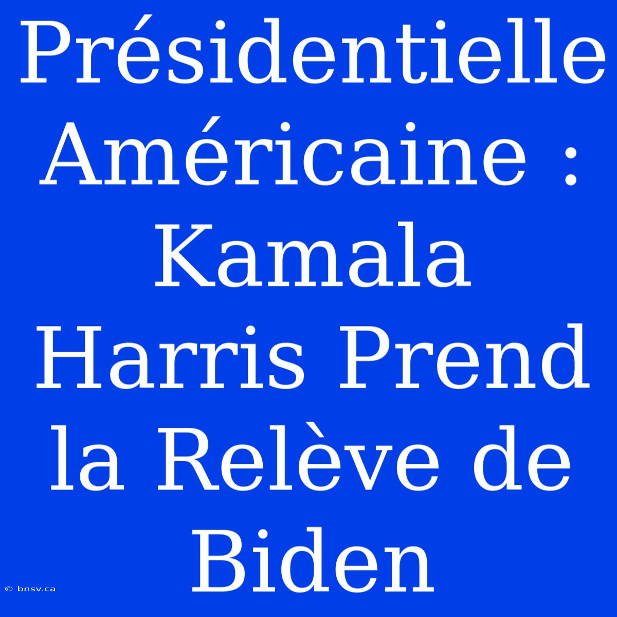 Présidentielle Américaine : Kamala Harris Prend La Relève De Biden