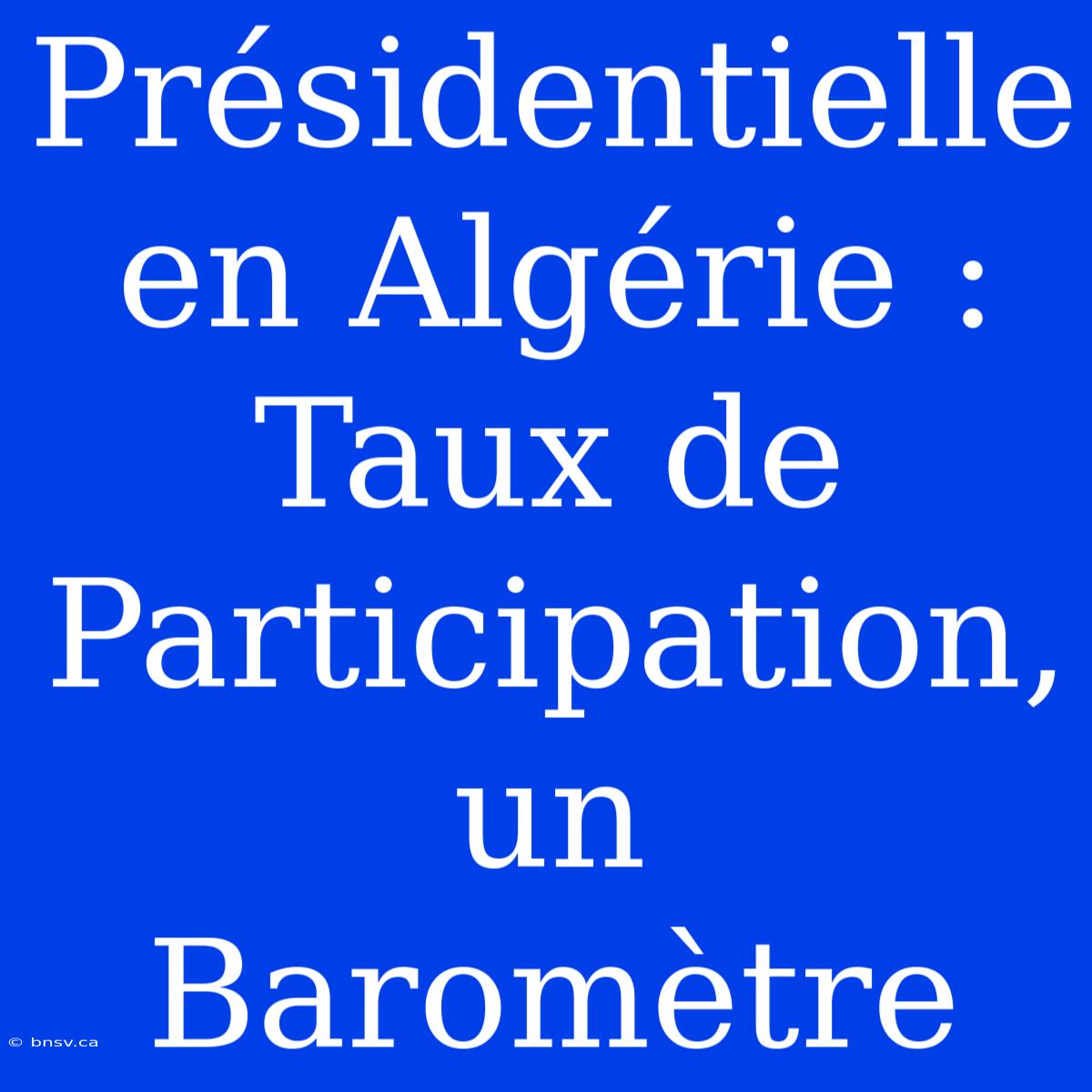 Présidentielle En Algérie : Taux De Participation, Un Baromètre