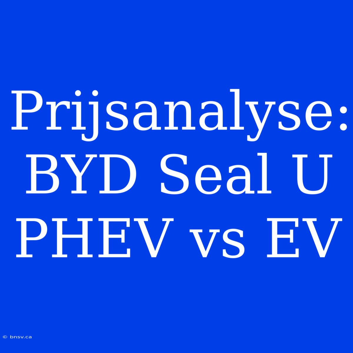 Prijsanalyse: BYD Seal U PHEV Vs EV