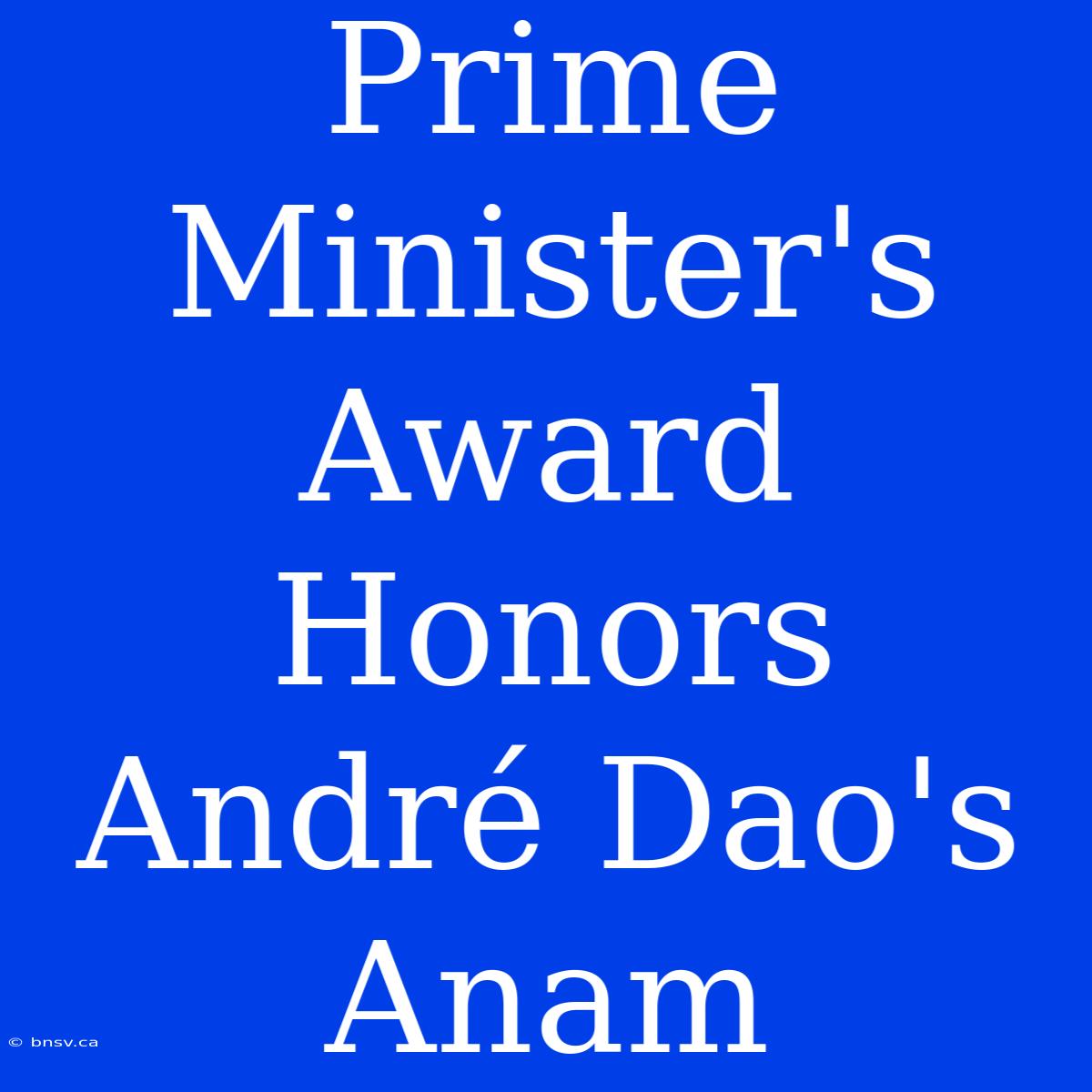 Prime Minister's Award Honors André Dao's Anam