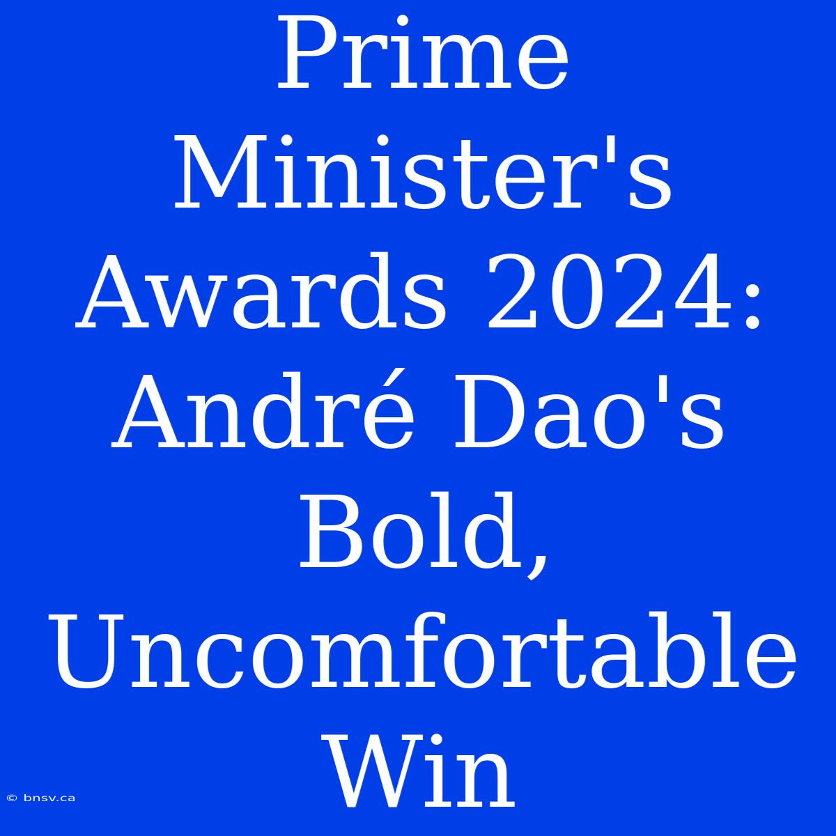 Prime Minister's Awards 2024: André Dao's Bold, Uncomfortable Win