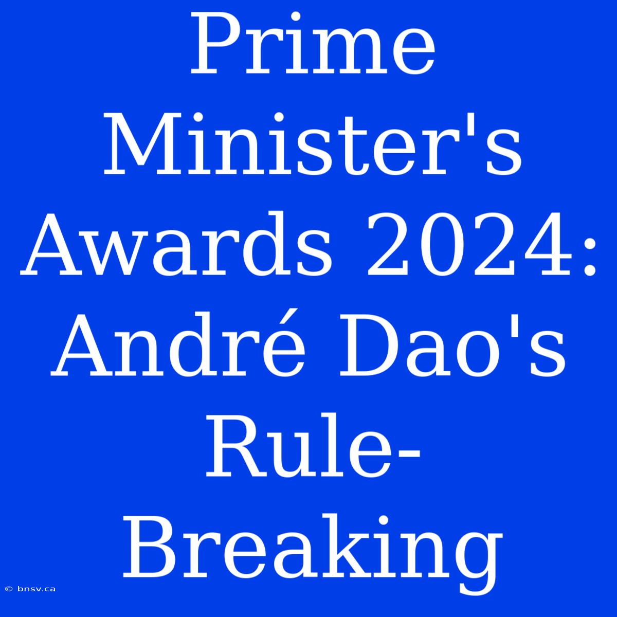 Prime Minister's Awards 2024: André Dao's Rule-Breaking