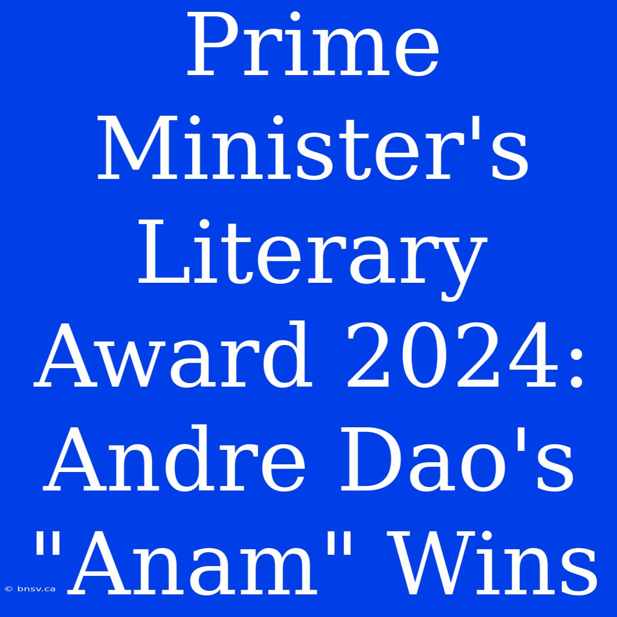 Prime Minister's Literary Award 2024: Andre Dao's 