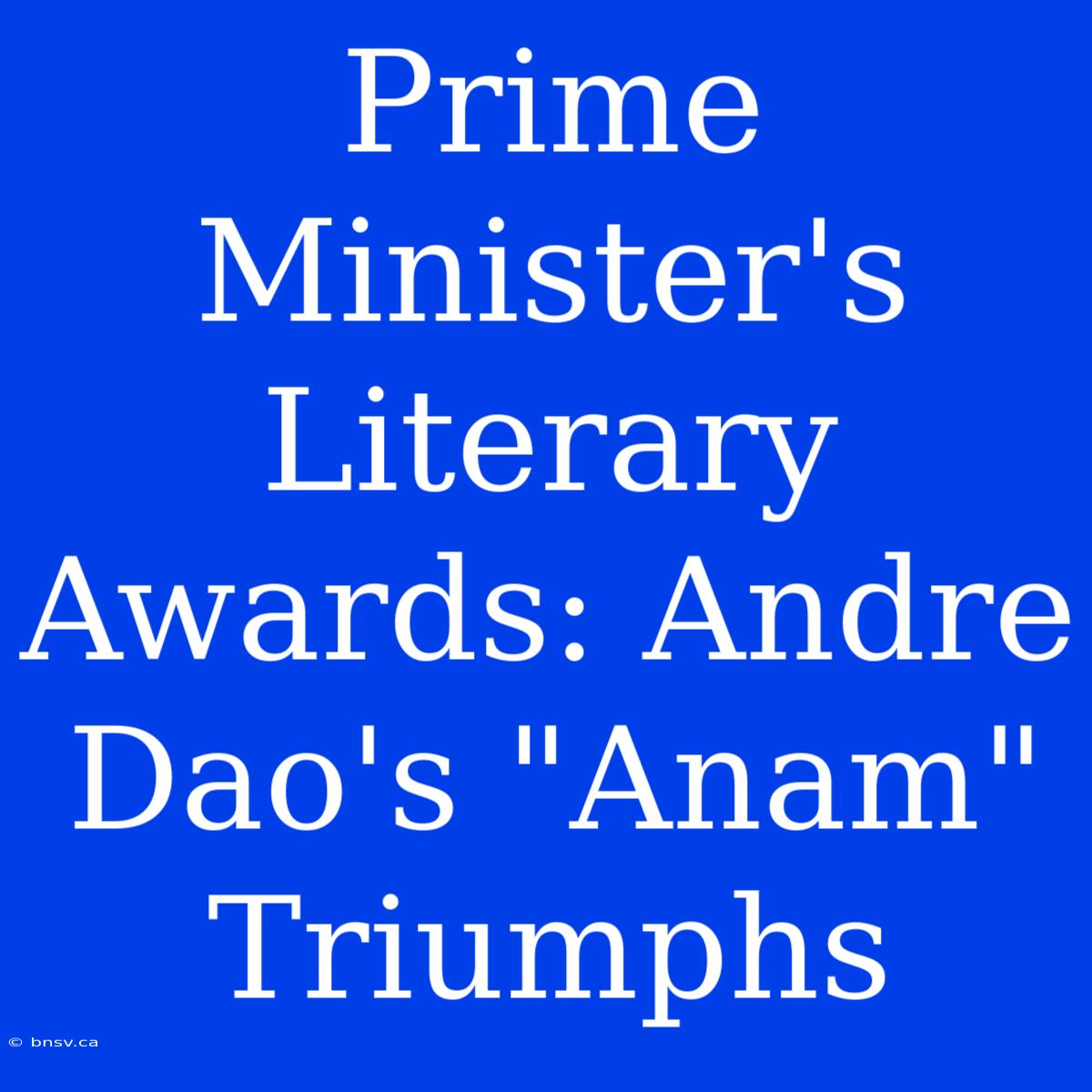 Prime Minister's Literary Awards: Andre Dao's 