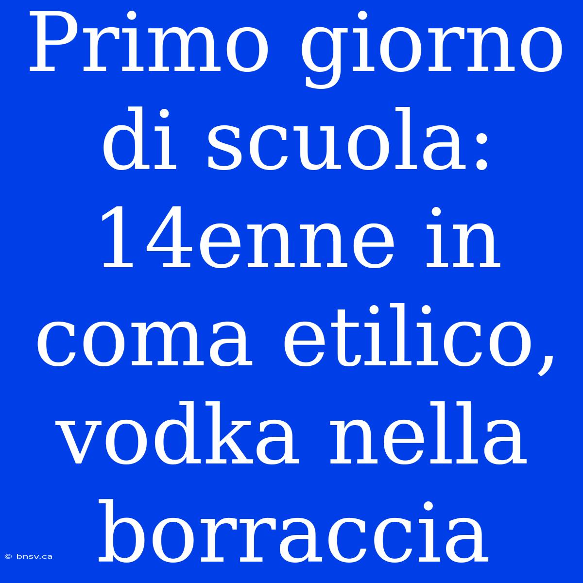 Primo Giorno Di Scuola: 14enne In Coma Etilico, Vodka Nella Borraccia