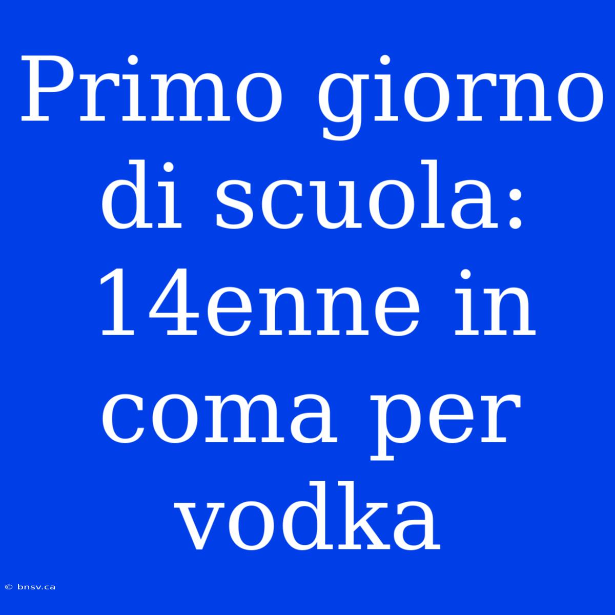 Primo Giorno Di Scuola: 14enne In Coma Per Vodka