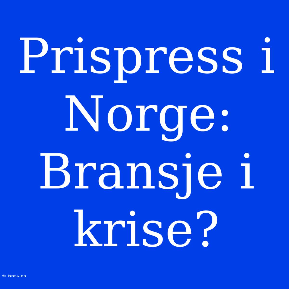 Prispress I Norge:  Bransje I Krise?