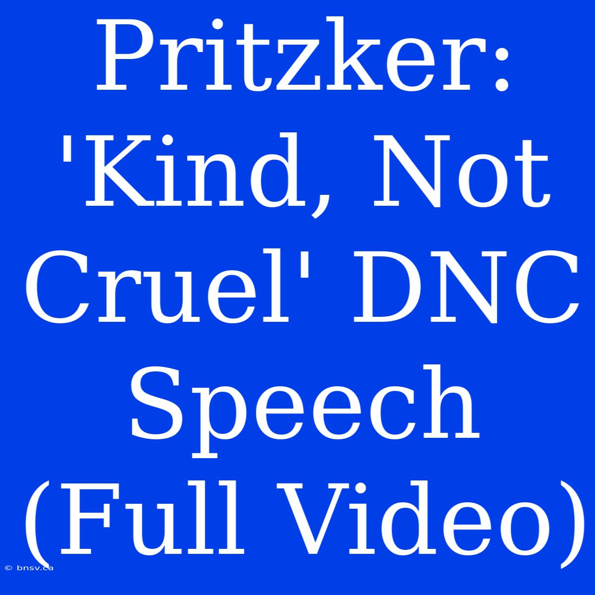 Pritzker: 'Kind, Not Cruel' DNC Speech (Full Video)