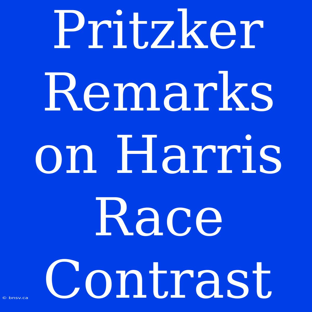 Pritzker Remarks On Harris Race Contrast